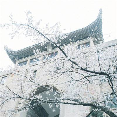 曙光计划手游下载